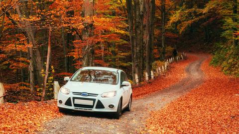 Ein weißes Auto fährt über die laubbedeckte Straße durch einen farbenprächtigen Wald.