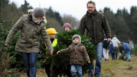 Eine Familie trägt einen selbst geschlagenen Weihnachtsbaum